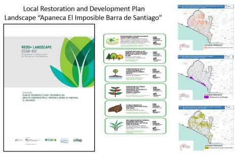 selecting the corresponding restoration techniques, and establishing alliances and institutional agreements for their implementation and monitoring of actions and their impacts.
