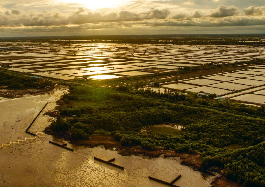 6 7 Our approach The purpose of ICMP is to strengthen the coast of the Mekong Delta by making it more resilient against climate and environmental change.