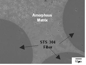 The dark and bright regions might be formed by the partial crystallization according to the phase separation of the amorphous melt during solidification.