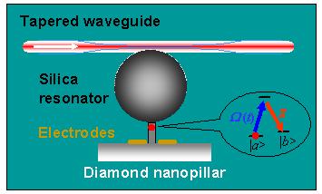 1. Summary The main objective of this project is to exploit the exceptional spin properties of nitrogen vacancy (NV) centers in diamond to develop a quantum network based on cavity QED of NV centers.