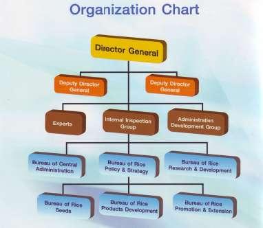 Government Organization Chart Ministry of Agriculture and Cooperative/ Rice Department / Research and Development are involved in the processes from seed multiplication to distribution.
