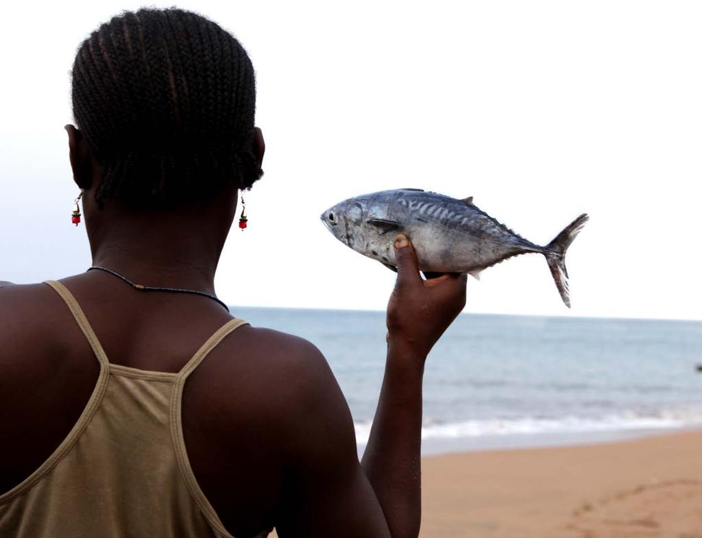 D Recognize the contribution of small-scale fisheries Recognize the specific contribution of small-scale fisheries to food security and Promote and support the implementation of the Voluntary