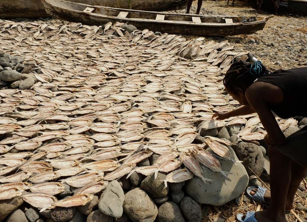 FIND OUT MORE Sustainable Fisheries and Aquaculture for Food