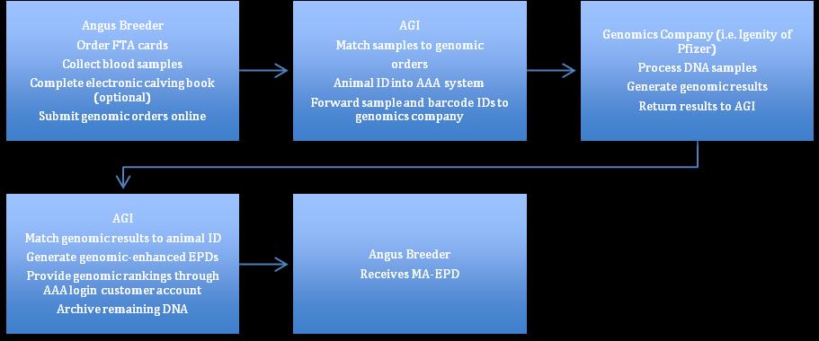 Table 1. Summary of traits for which the American Angus Association uses genomic results in EPD estimates by company.