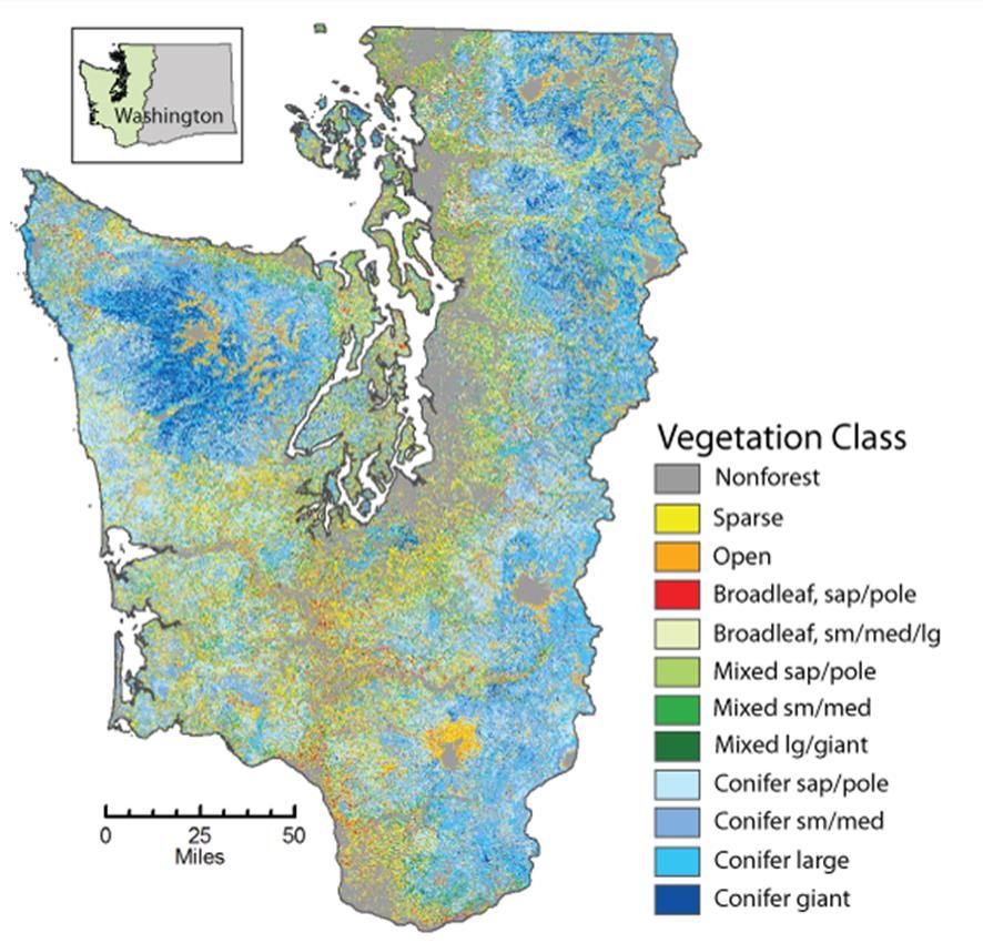 Information sources 4) Current vegetation Gradient Nearest