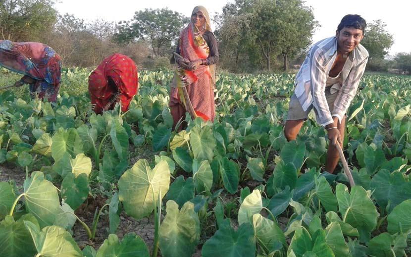 Community led resource efficient agriculture in Bundelkhand Enabling farmer community for collective local planning and resource management Background Bundelkhand, a semi-arid region in Central