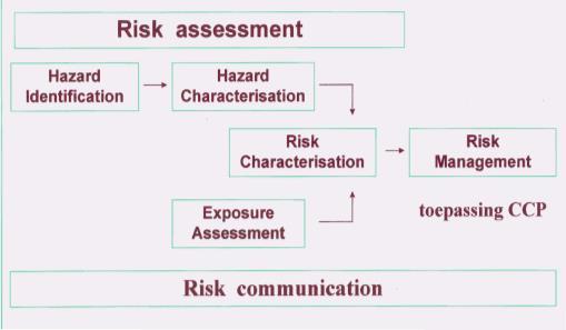 Process of risk evaluation