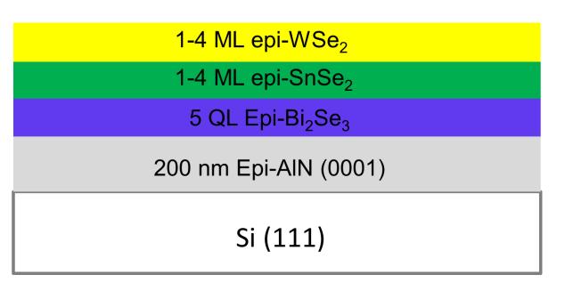 From S9 below, it can be seen that E F is located at or just above the conduction band minimum indicating that the MBE-grown SnSe 2