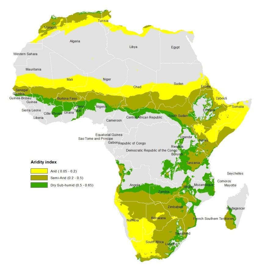 African drylands today Drylands (including arid, semi-arid and dry sub-humid areas) account for: 43% of land area 50% of population 70% of cropland 66% of cereal production 80% of livestock holdings