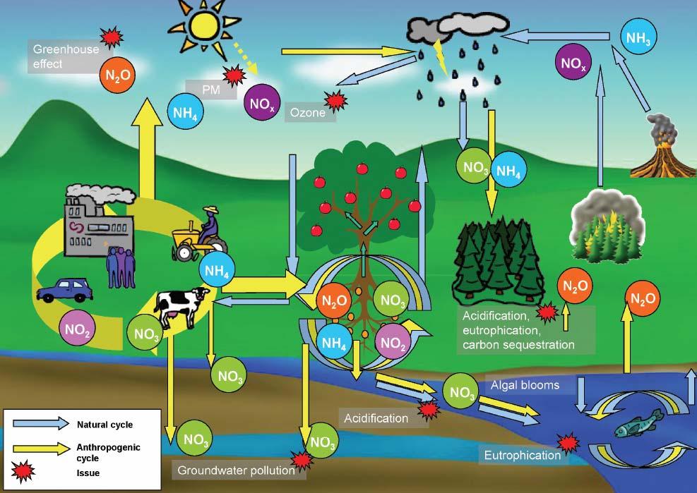Key processes involved Industrial and agroindustry processes Atmospheric processes eg.