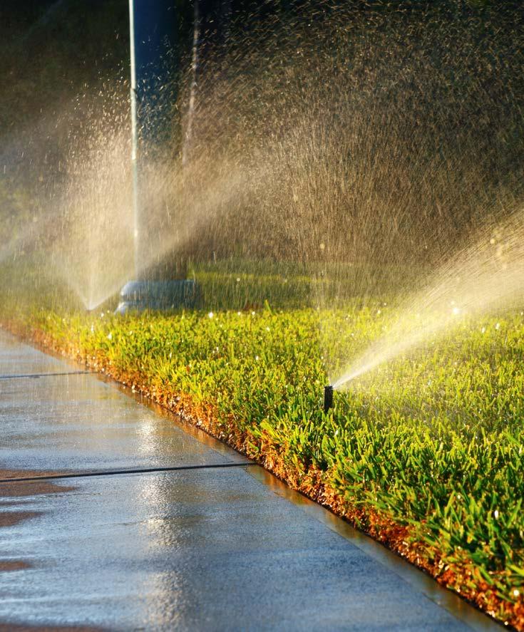 Everyone: Mandatory Water Use Prohibitions Washing down driveways and sidewalks with potable water Causing runoff as a result of excess outdoor watering Using a hose to