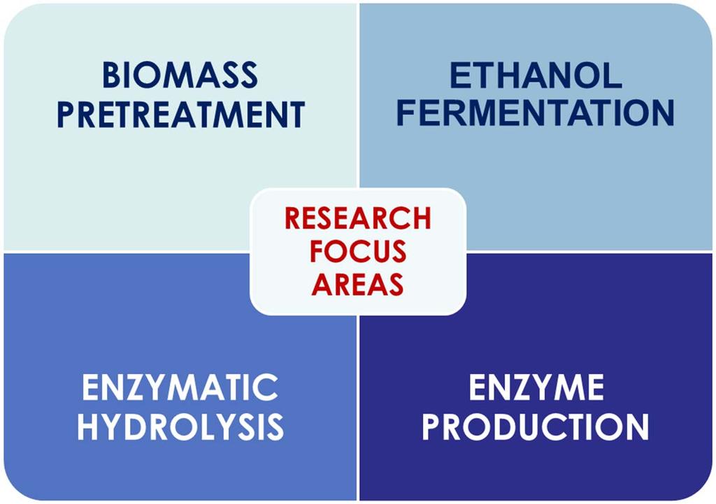 1)ENZYME HYDROLYSIS: Maximizing cellulose hydrolysis with minimum enzyme usage.