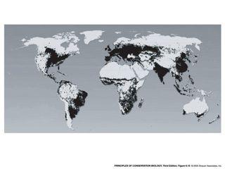Habitat loss: agriculture Grasslands, savannas and shrublands -!cover 40.