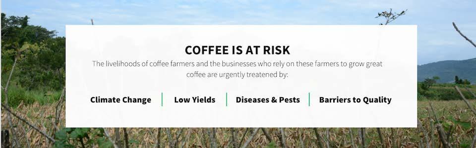 World Coffee Research s Mission To grow, protect, and enhance supplies of