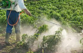 How Pesticides Move Pesticides can move away on treated plants, animals, and objects.