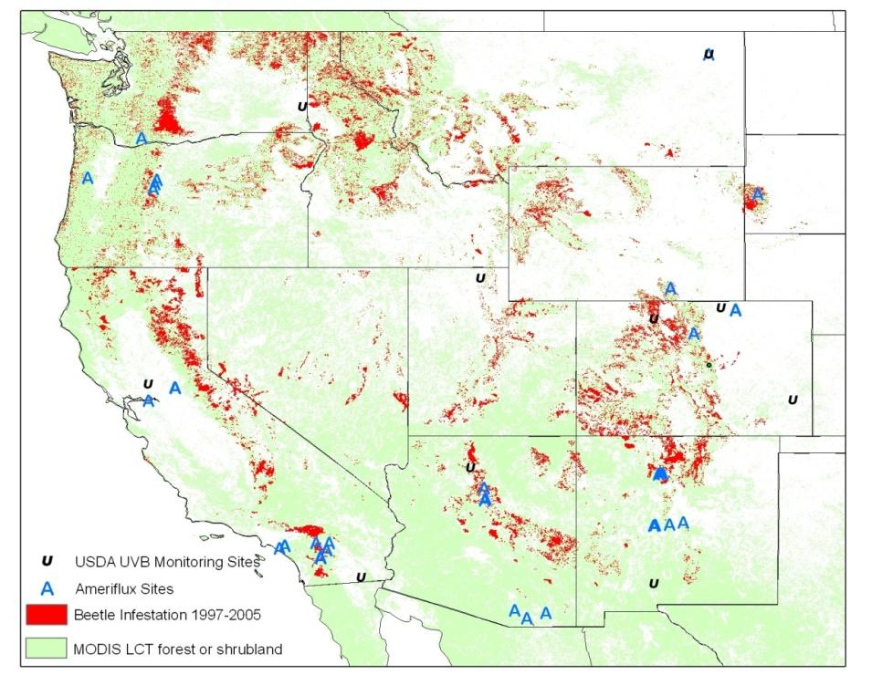 IMPACT OF BARK BEETLE INFESTATION ON AIR QUALITY IN WESTERN NORTH AMERICA NSF supported project (Ashley