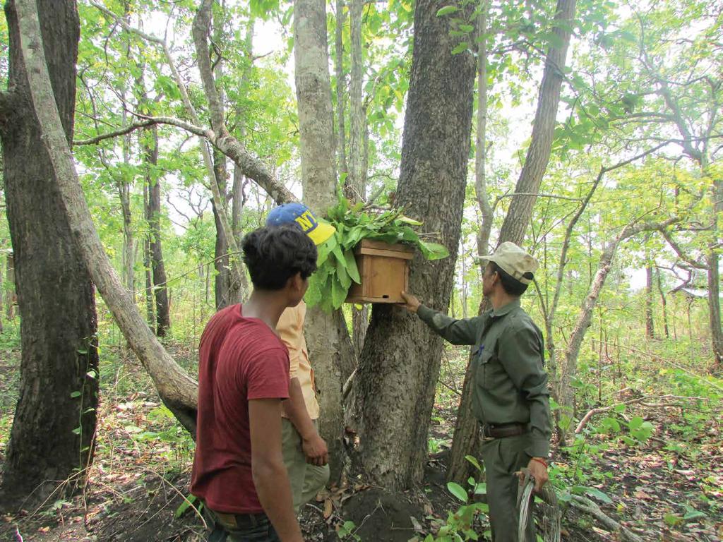 Community land rights established WWF-Cambodia works closely with the government to assist forest communities in
