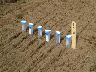 Planting Methods Amount of seed required for each row calculated