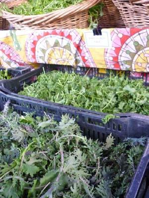 Direct-market distribution of baby-leaf salad mix Marketed extensively in Northwest Washington through farmers markets, CSA s, and food co-ops Number of farms marketing directly to consumers