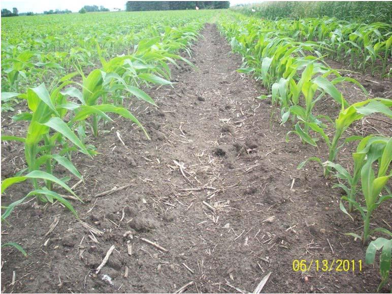 Verdict herbicides Solid, dependable weed control means less