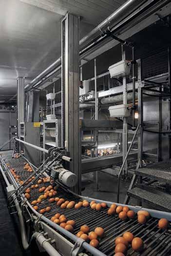 Egg Collection >Egg Lift collection system - Anaconda chain >Niagara system with bars LIFT SYSTEM Egg collection by positioning the ANACONDA cross bar conveyor at each level.