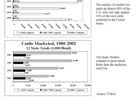 majority (80%) of all beef in the US: Packer