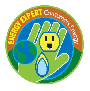 ENERGY EXPERT PATCH