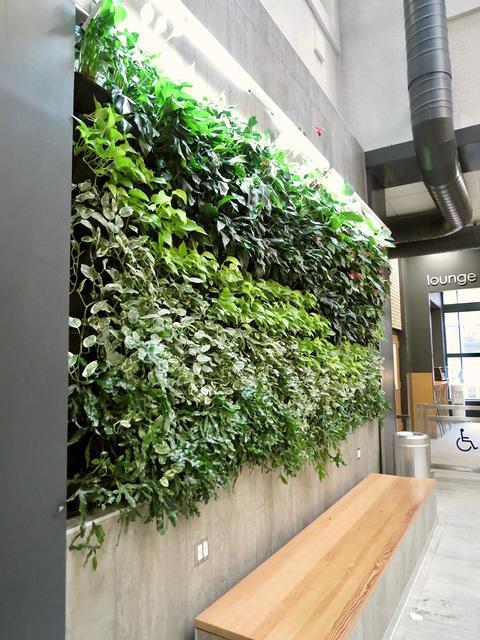 precious real estate. Breathe is designed to initially or retroactively attach to DIRTT Walls or conventional walls.