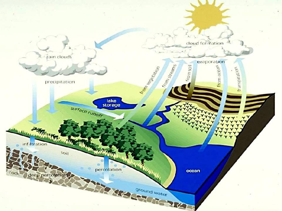 The Hydrologic Cycle Stream Corridor Restoration: Principles, Processes,
