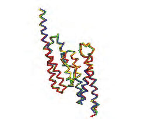 and lue. Inter-suunit Cα root mean square deviations (rmsds) are.8.89 Å. α helices α1 α6 of the fold are laeled.