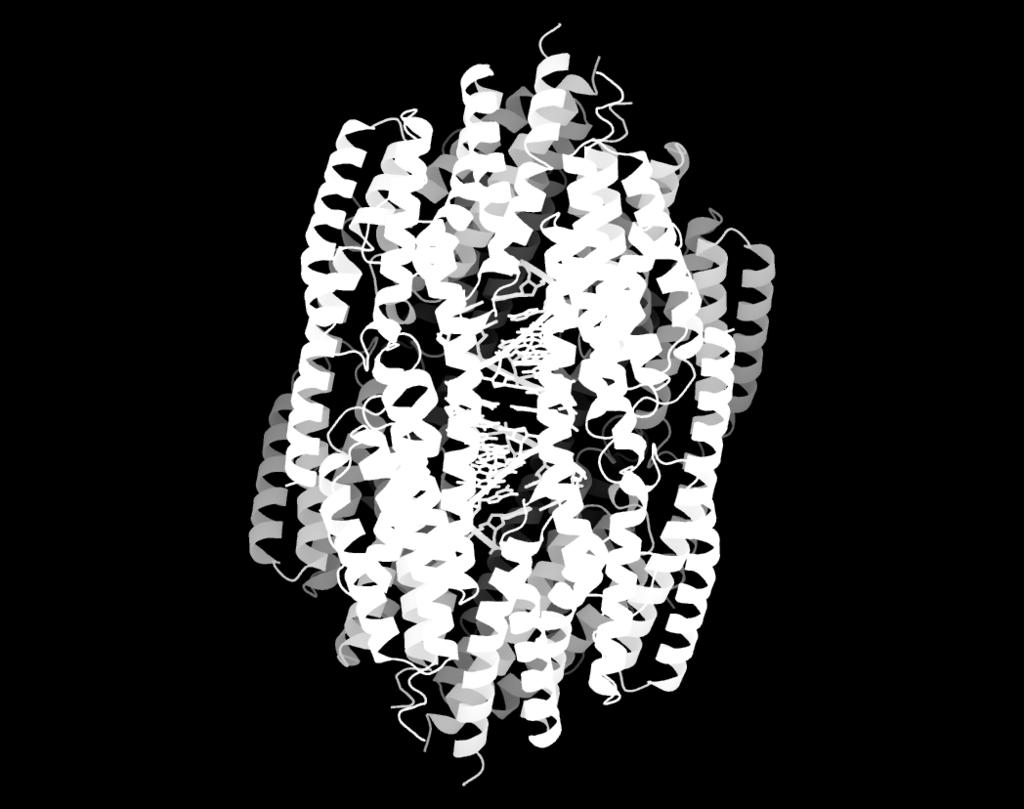 (a) Superposition of an AfC3PO Trax-like suunit catalytic site (RNA omitted) with a Trax catalytic site from human C3PO 17 (PDB code 3QB5, chains K and C).