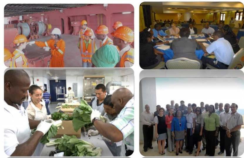 THE LOREM IPSUMS SPS Project Technical Actions Highlights Capacity Building of Public and Private Sector Personnel - Plant Quarantine Professionals Trained Support was provided for seven (7)