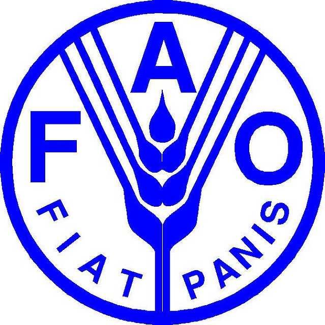 Questionnaire to support the Individual s Capacity Needs Assessment In the framework of the Joint FAO/ UNW-DPC/UNU-INWEH Capacity Development Project on Safe Use of Wastewater in Agriculture Phase I