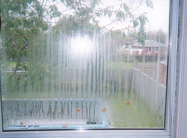Triggers What you may SEE: Severe condensation on windows Curtains kept