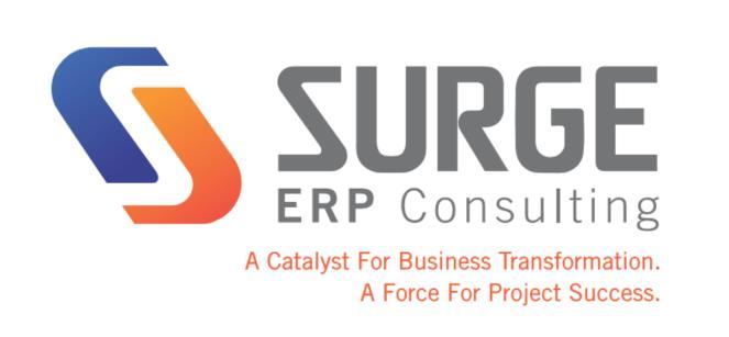 ABOUT SURGE ERP SURGE ERP Consulting consists of a team of highly experienced Management Professionals who help their clients achieve their business transformation goals through the use of technology.