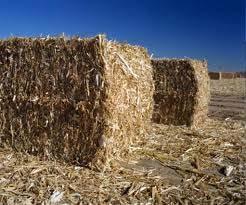 INDIAN BIOMASS POTENTIAL IS HUGE India has 141 million hectares of arable land > 1.