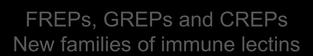 FREPs, GREPs and CREPs New families of immune lectins Signal peptide IgSF 1 Ig superfamily