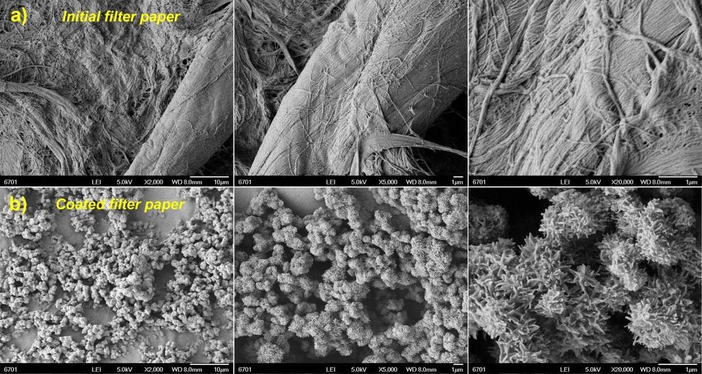 In the top-view SEM images, one can see that the surface of naked filter paper is composed of messy dendritic fibers but relatively smooth, while the surface of coated filter