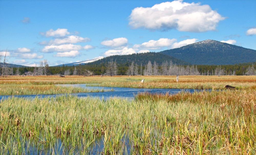 The Marsh Project: An Ecosystem Services Approach to NEPA Project Planning