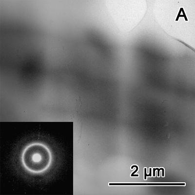 Supplementary Figures Figure S1 TEM bright-field image and selected area electron diffraction of sample S3 (A).