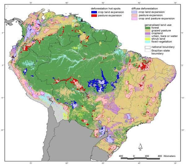 Habitat change: Deforestation and forest