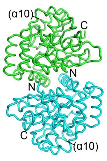 (orange) is superimposed on that of the mixed marker proteins.