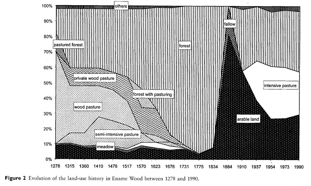 The land use history (1278-1990) of a mixed hardwood forest in western Belgium