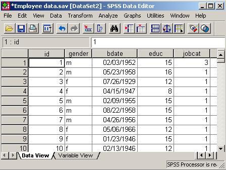 The Data editor Data View window Click on Data View tab at the bottom of the screen to open the Data view window.
