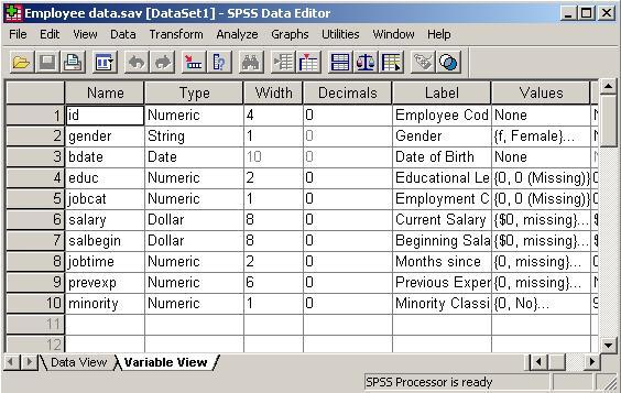 Figure 4: Variable View Window There are ten fixed columns in the Variable View, they are: Name: is what you want the variable to be called.