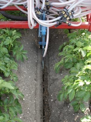 Summary experiments arable land Average NFRV, % compared to CAN Crop Soil Year Potato