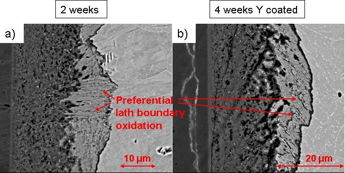 Influence of the metal microstructure on oxide growth: The influence of the metal microstructure on the oxide growth is most visible in the diffusion layer where oxide precipitates are seen at the