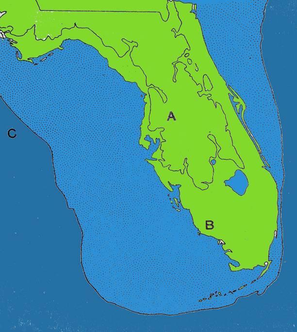 Florida Through Time Sea Level Change Happens!
