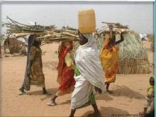 Responsible for providing water for their families, increasing water scarcity will also increase the burden on women and girls who will have to spend more time and effort to carry, store and purify
