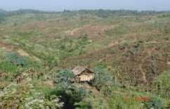 land) Over-harvesting of fuel wood and